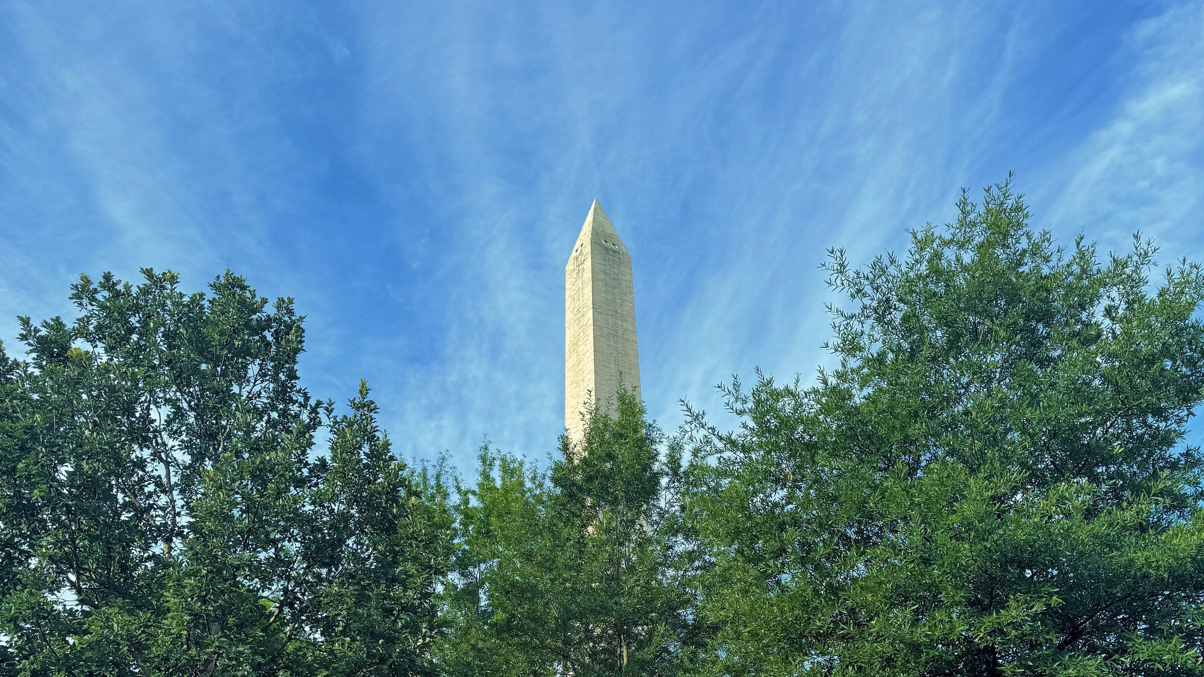 The Architect’s Compass: Reflections from the Spire